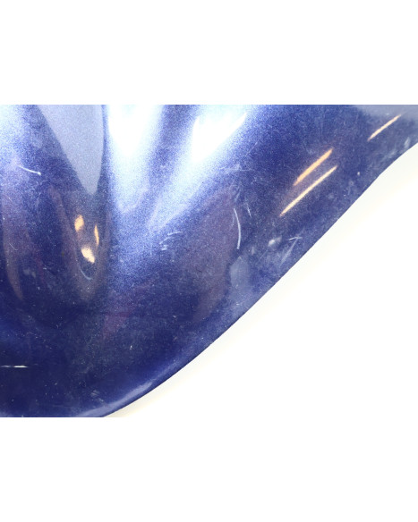 Peugeot Speedfight 2, styrkåpa