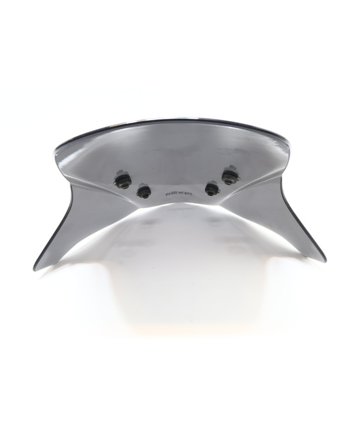 Aprilia SXR 50, vindruta