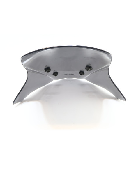 Aprilia SXR 50, vindruta