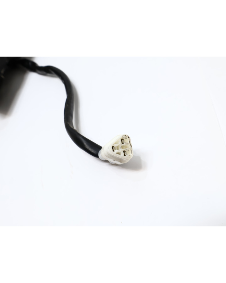 Yamaha XSR900, baklykta