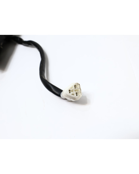 Yamaha XSR900, baklykta