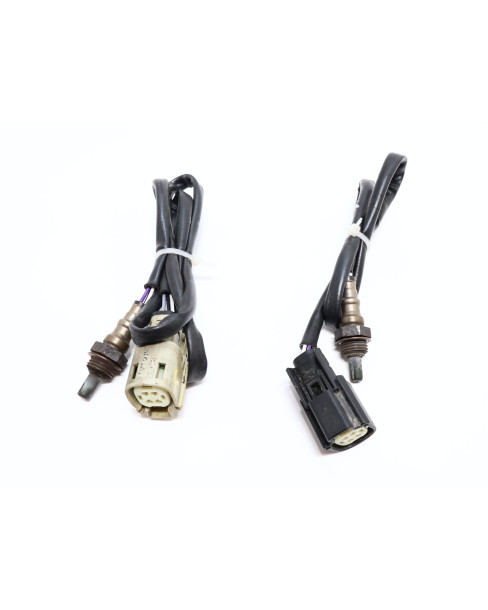 Harley-Davidson Street 750, lambdasond (par) 2