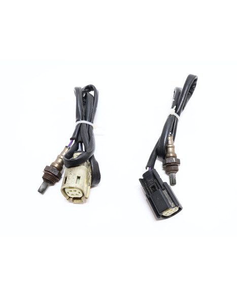 Harley-Davidson Street 750, lambdasond (par)