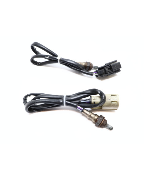 Harley-Davidson Street 750, lambdasond (par)