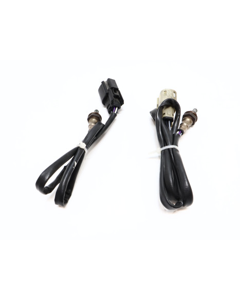 Harley-Davidson Street 750, lambdasond (par)