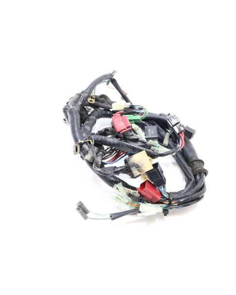 Honda VT750 Shadow, kabelhärva 2