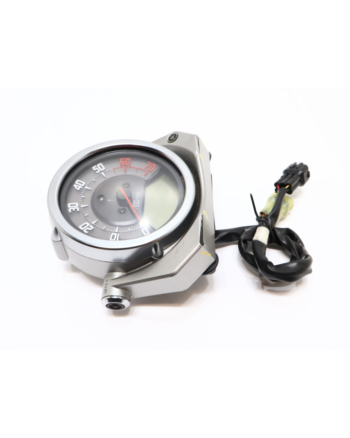 Yamaha MT-01, hastighetsmätare