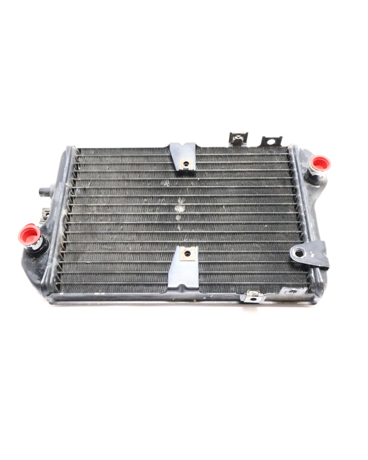 Kawasaki EN 500 Vulcan, kylare