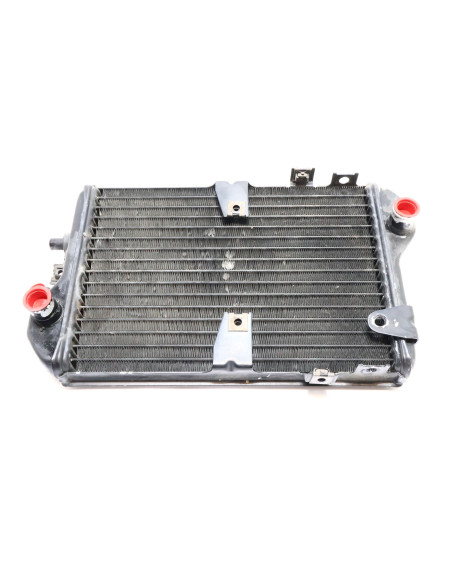 Kawasaki EN 500 Vulcan, kylare