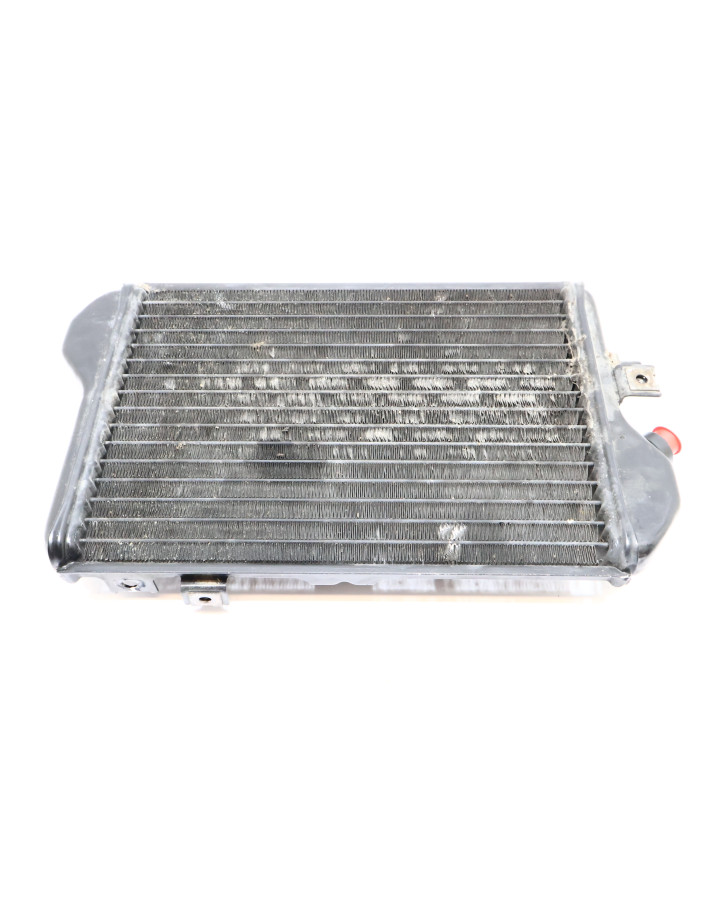 Kawasaki EN 500 Vulcan, kylare