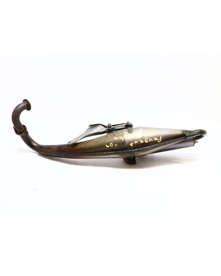 Peugeot Ludix, Giannelli avgassystem