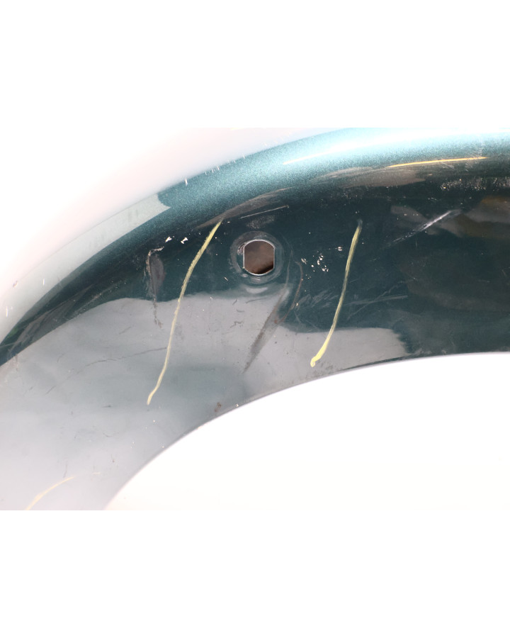 Harley-Davidson Electra Glide, bakskärm