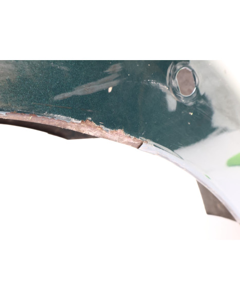 Harley-Davidson Electra Glide, bakskärm