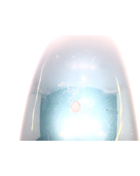 Harley-Davidson Electra Glide, bakskärm