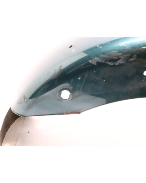 Harley-Davidson Electra Glide, bakskärm