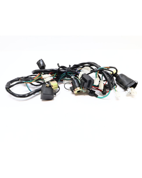 Baotian Classic, kabelhärva 2