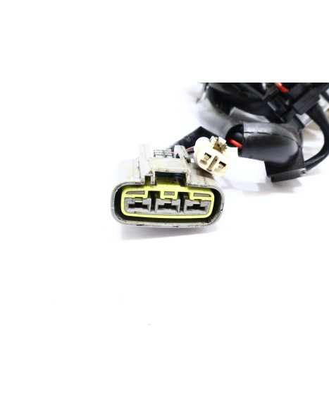 Harley-Davidson Street 750, tändplatta