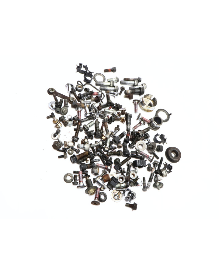 Kawasaki VN1500 Mean Streak, skruvkit