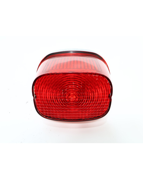 Harley-Davidson Electra Glide, baklykta