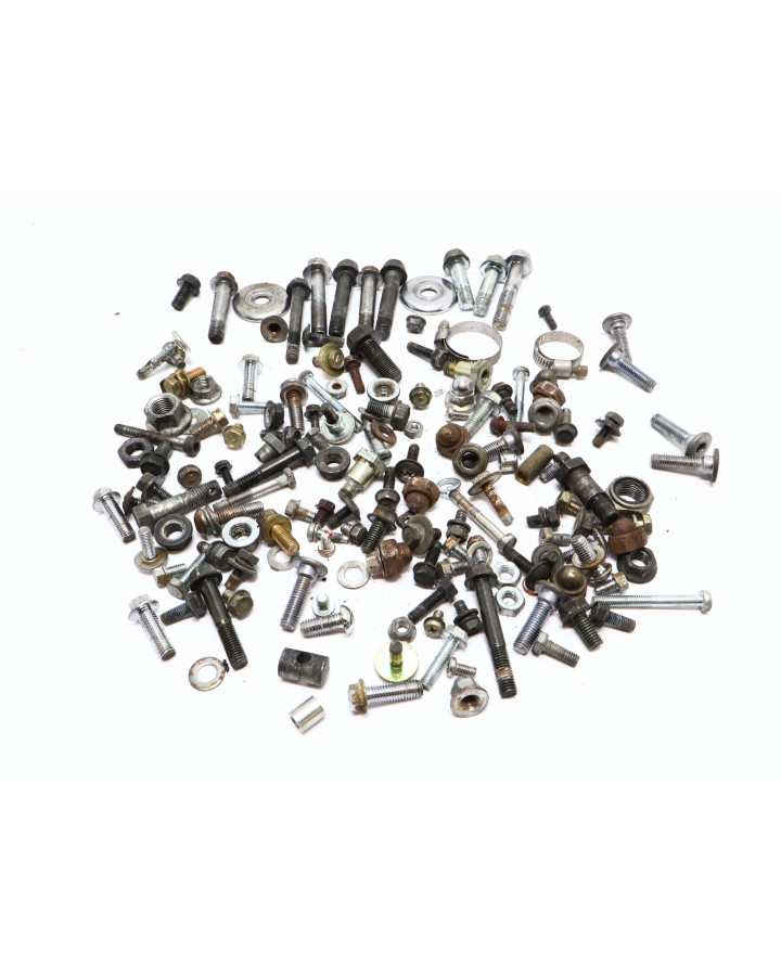 Kawasaki EN 500 Vulcan, skruvkit