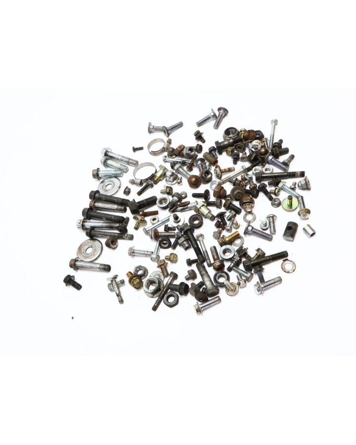 Kawasaki EN 500 Vulcan, skruvkit