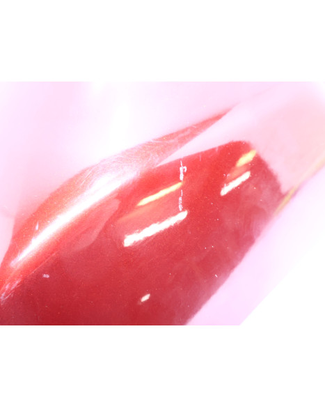 Harley-Davidson Electra Glide, sidokåpa vänster