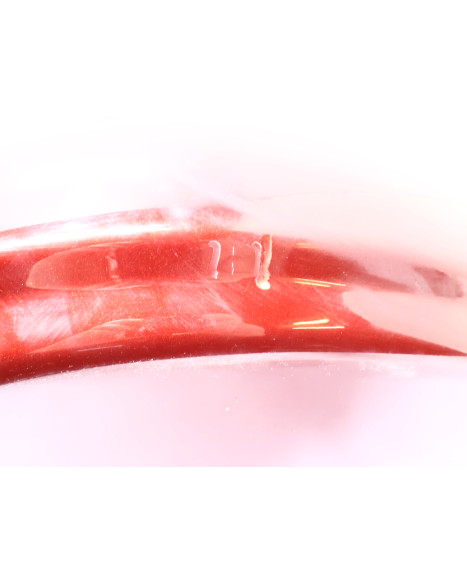 Harley-Davidson Electra Glide, bakskärm