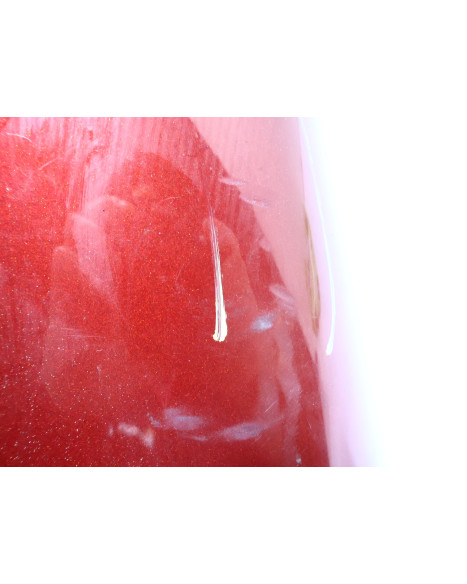 Harley-Davidson Electra Glide, bakskärm