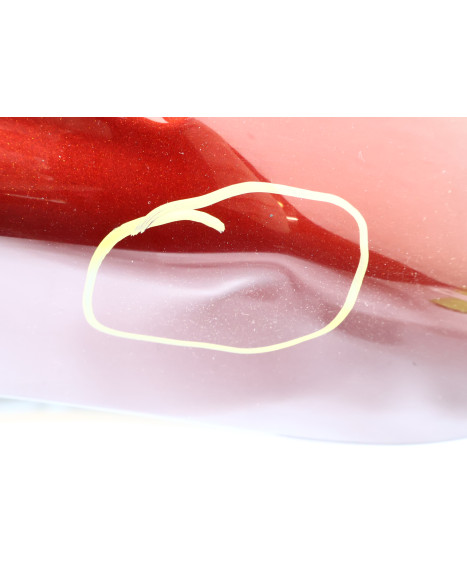 Harley-Davidson Electra Glide, bakskärm