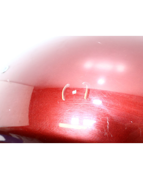 Harley-Davidson Electra Glide, bakskärm