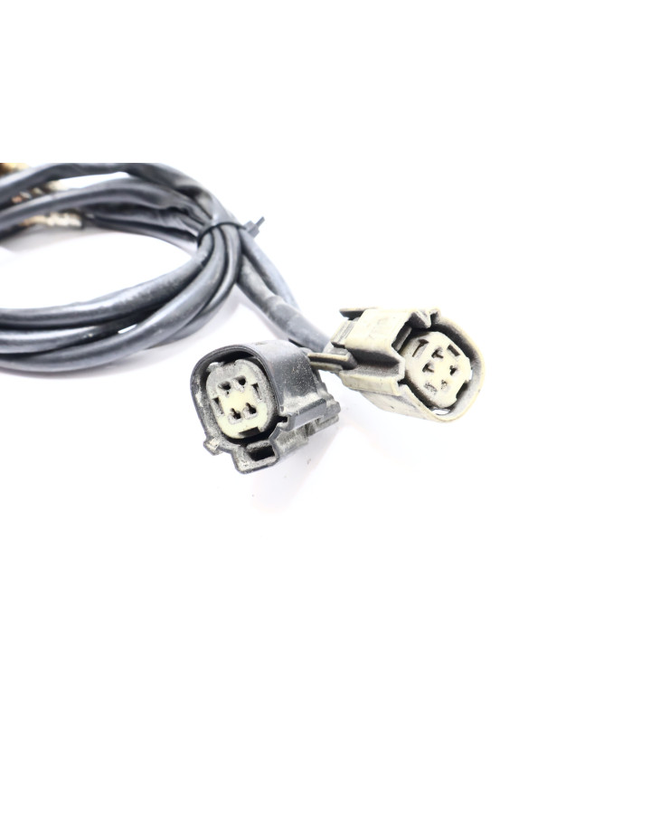 Harley-Davidson Electra Glide, lambdasond (par)