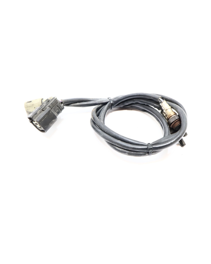 Harley-Davidson Electra Glide, lambdasond (par)