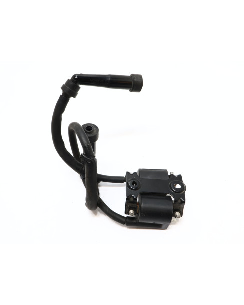 Yamaha XVS 1300A Midnight Star, tändspole (par) 2