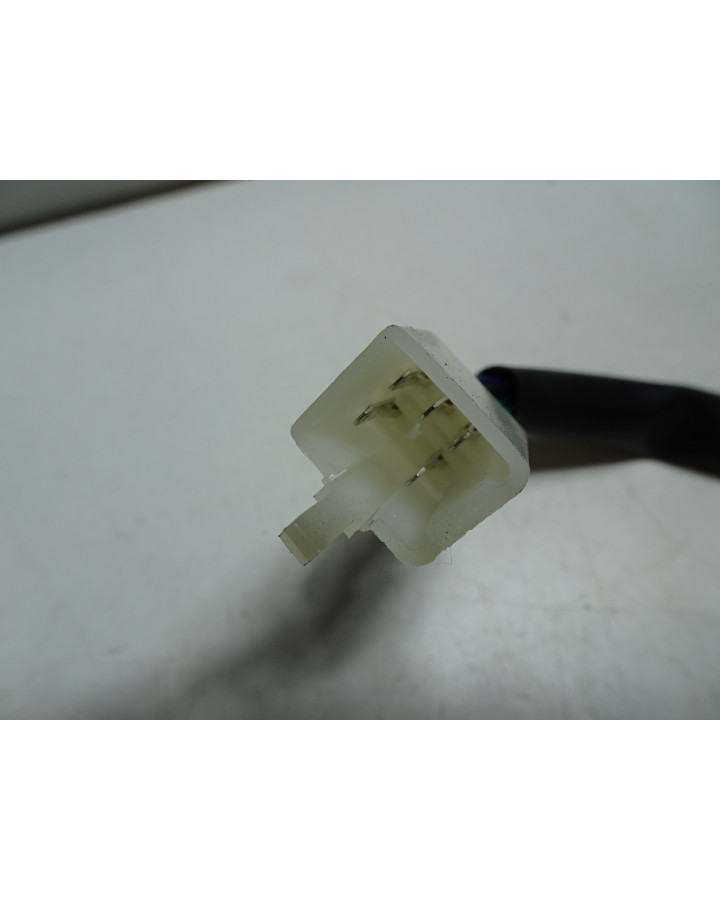 Vässla 1/2, baklykta