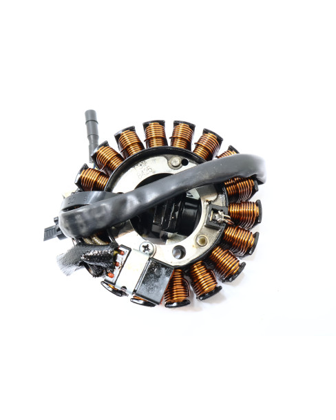 Honda CB125R, tändplatta 2