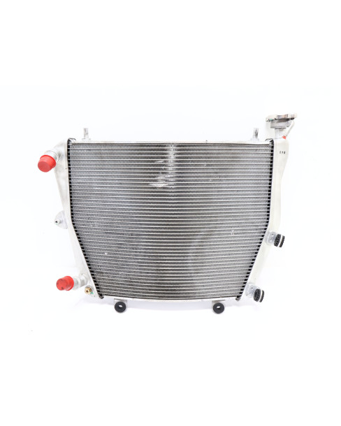 Ducati Panigale V4 S, kylare 2