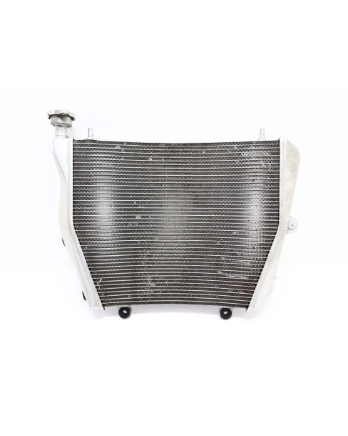 Ducati Panigale V4 S, kylare