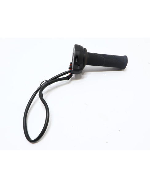 Ducati Panigale V4 S, elektroniskt gashandtag