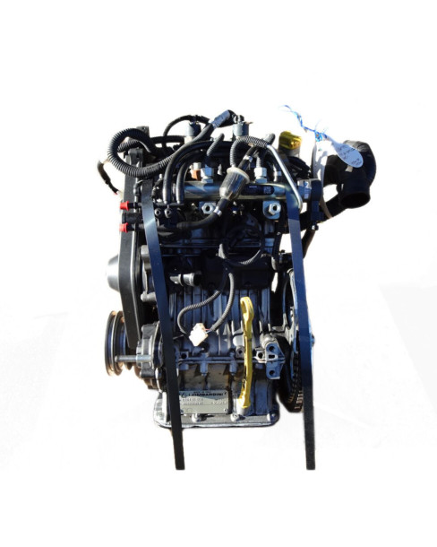 Lombardini LDW442 CRS motor