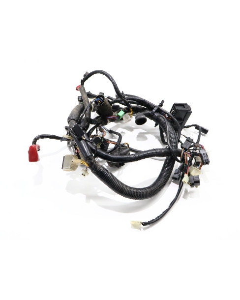 Kawasaki ER-5, kabelhärva