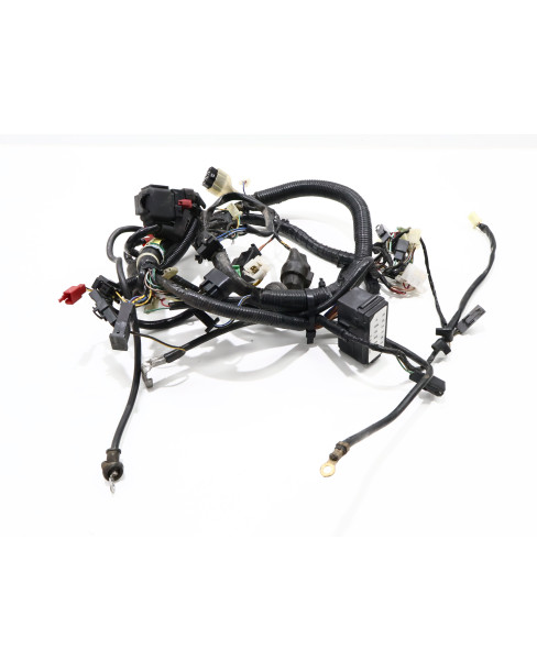 Kawasaki ER-5, kabelhärva 2