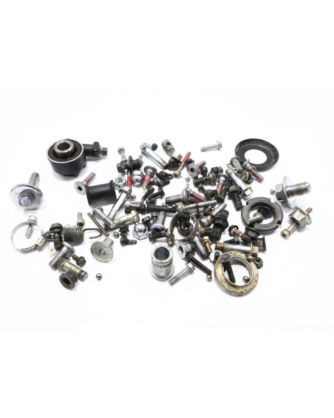 Kawasaki ER-5, skruvkit 2