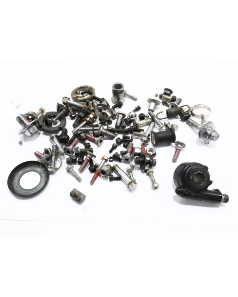 Kawasaki ER-5, skruvkit