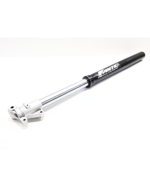 Fantic XM50, gaffelben vänster