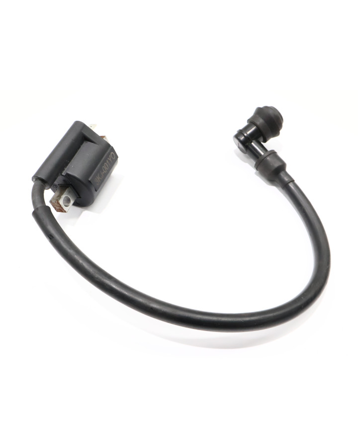 Fantic XM50, tändspole