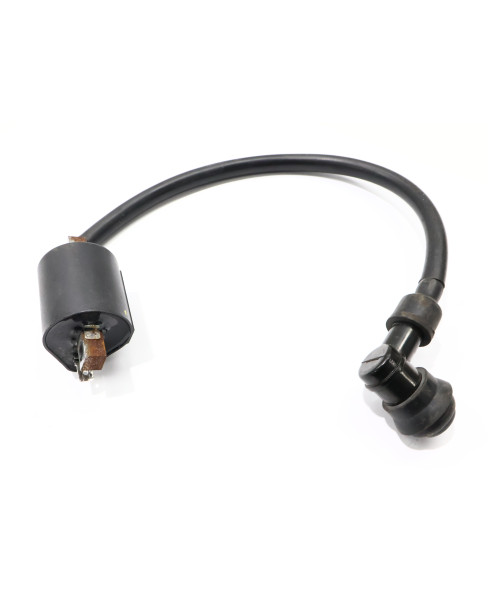 Fantic XM50, tändspole