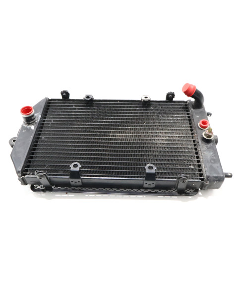 Kawasaki VN1500 Mean Streak, kylare