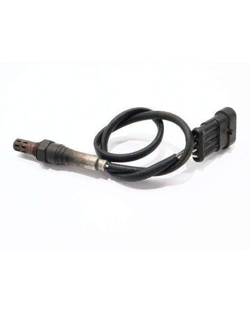 Drax Rough, lambdasond