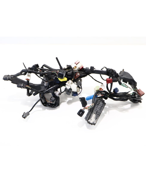 Honda CBR1000RR, kabelhärva