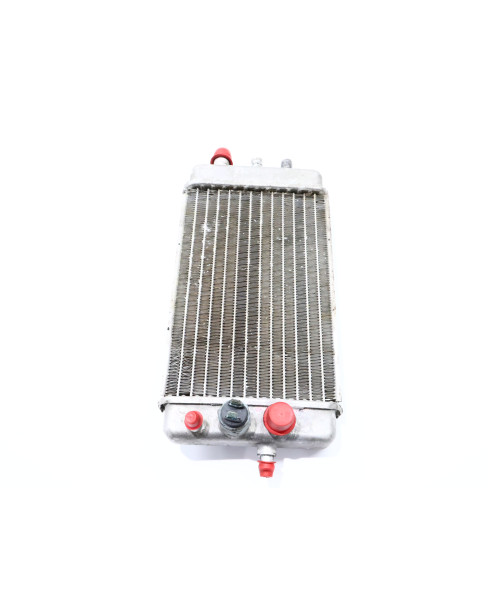 Derbi Senda/Gilera SMT, kylare 2